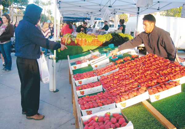 “싱싱한 채소와 먹거리 즐길거리 넘쳐요”